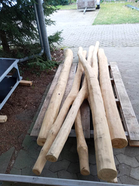 Holzstaemme auf Palette